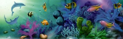 Under the Sea View