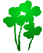 Clover Leaf