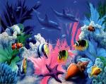 Under the Sea View