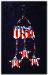 Patriotic USA with 3 Stars Ornament- This porcelain handmade ornament is painted in glossy patriotic colors. Austrian crystals, glass beads and wire are used for final and hanging details. 100% handmade.
