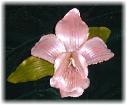 Pink Orchid Pin 